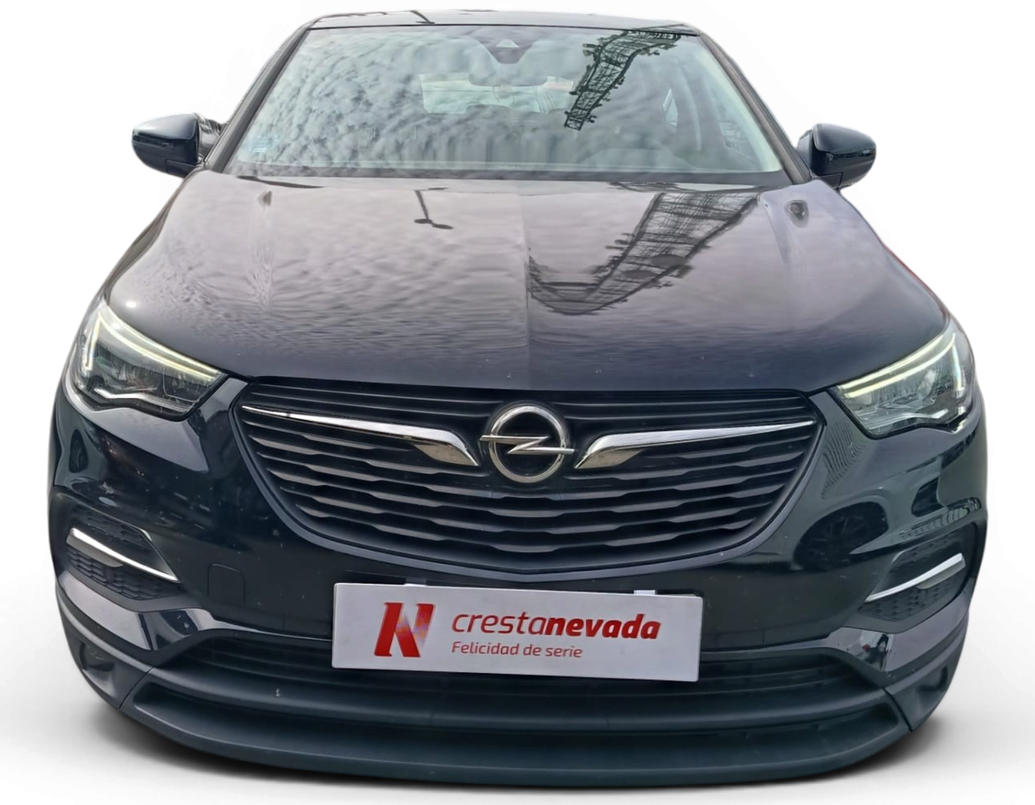 Imagen de Opel Grandland X