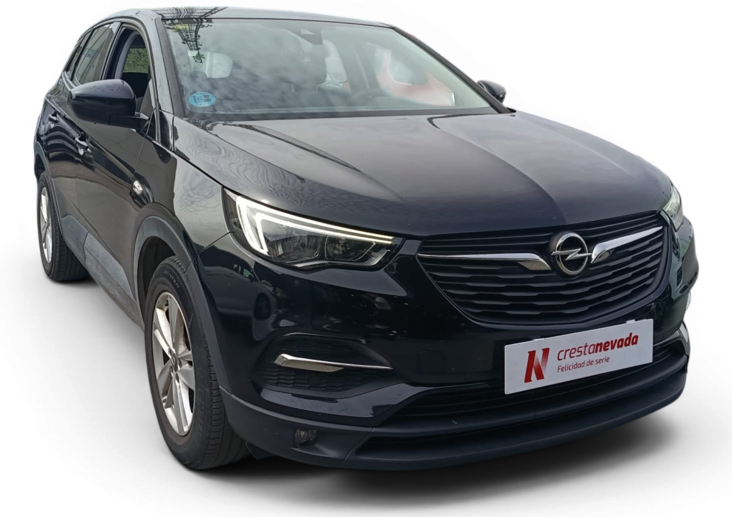 Imagen de Opel Grandland X