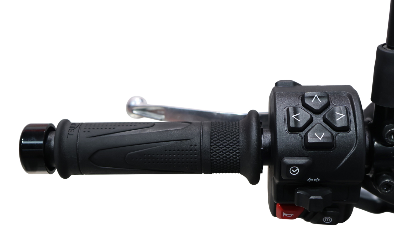 Imagen de Triumph TRIDENT 660 A2