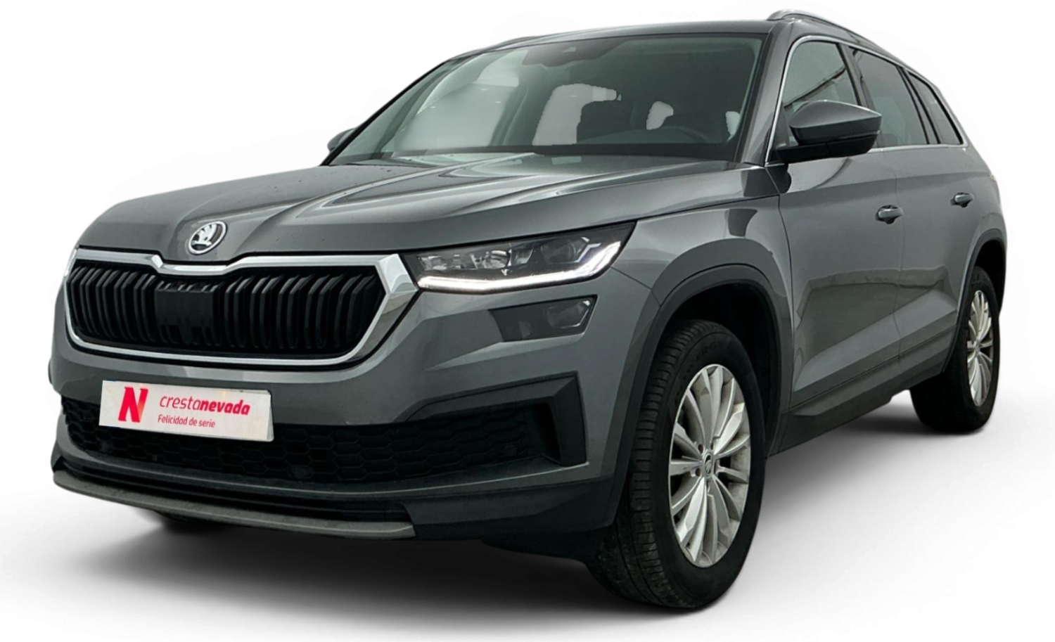 Imagen de Skoda Kodiaq