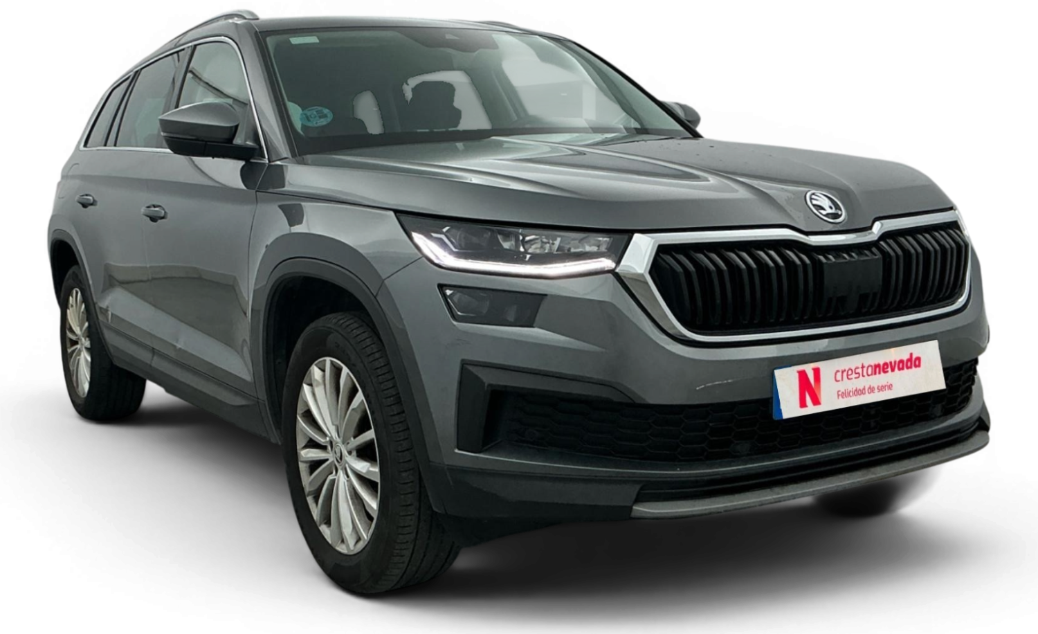 Imagen de Skoda Kodiaq
