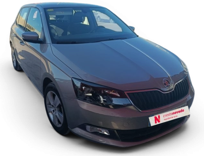 Imagen de Skoda Fabia