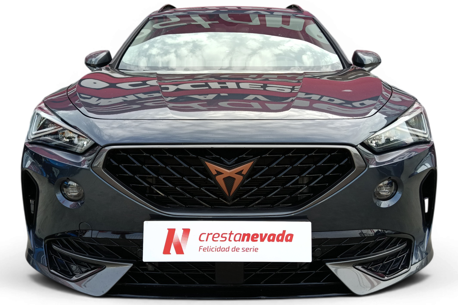 Imagen de cupra Formentor
