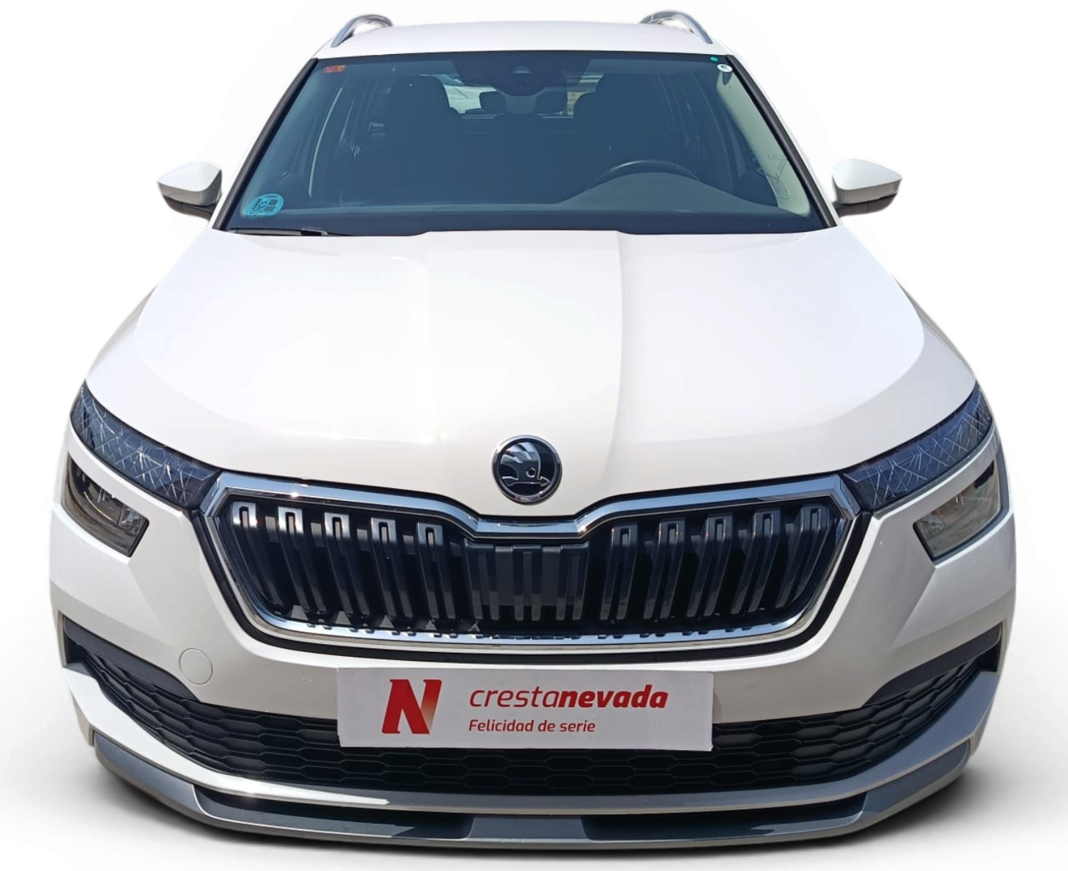 Imagen de Skoda Kamiq