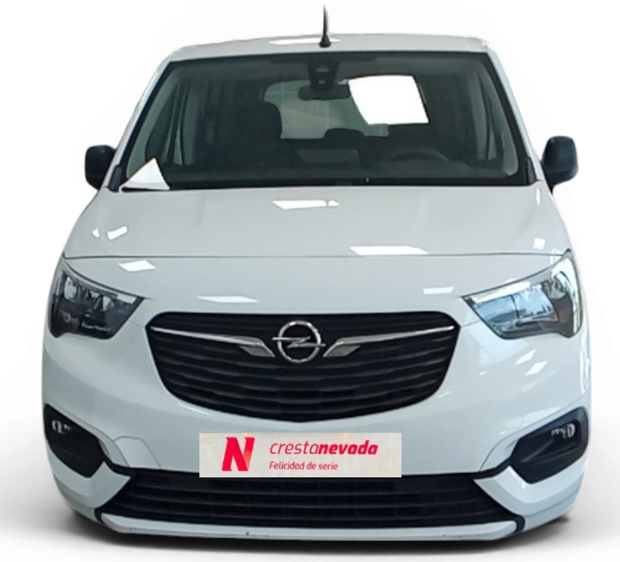 Imagen de Opel Combo Cargo