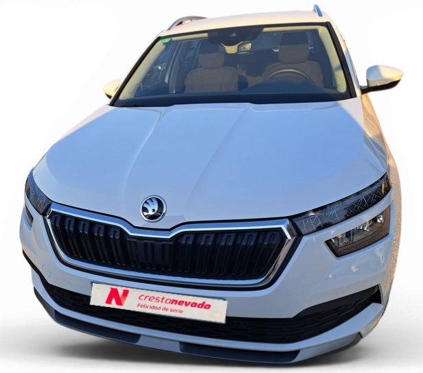 Imagen de Skoda Kamiq