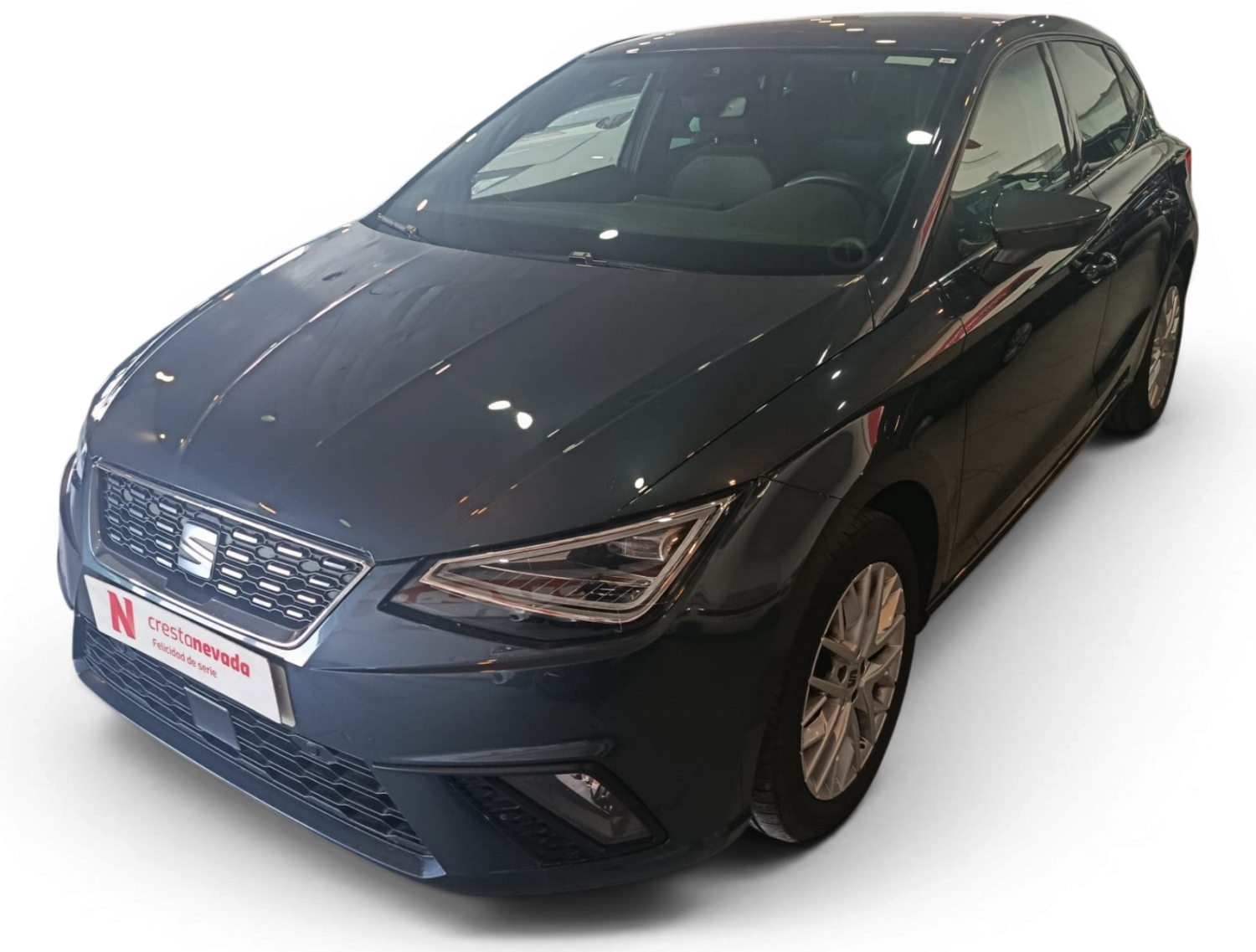 SEAT Ibiza Gasolina 116 CV por 18.990 €