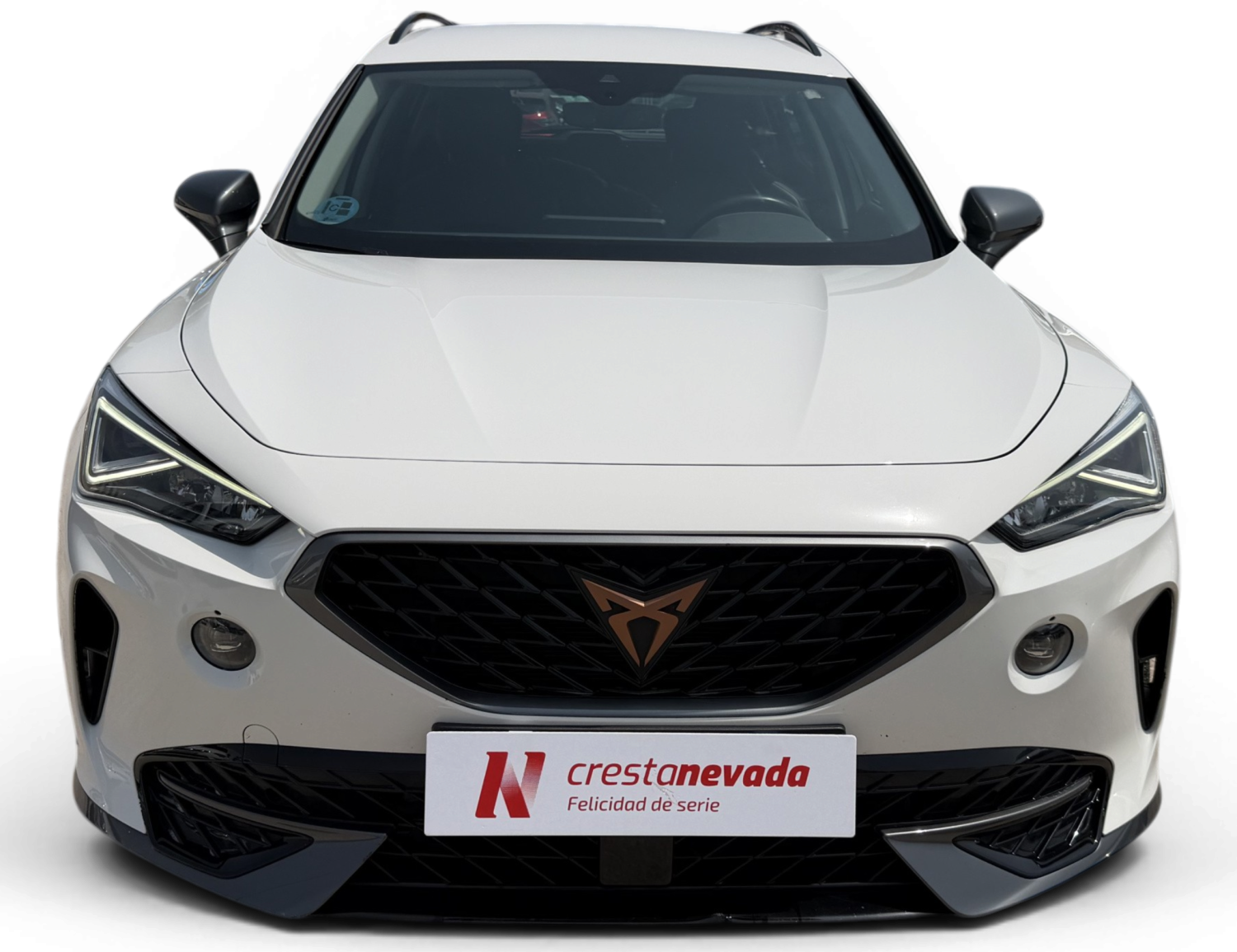 Imagen de cupra Formentor