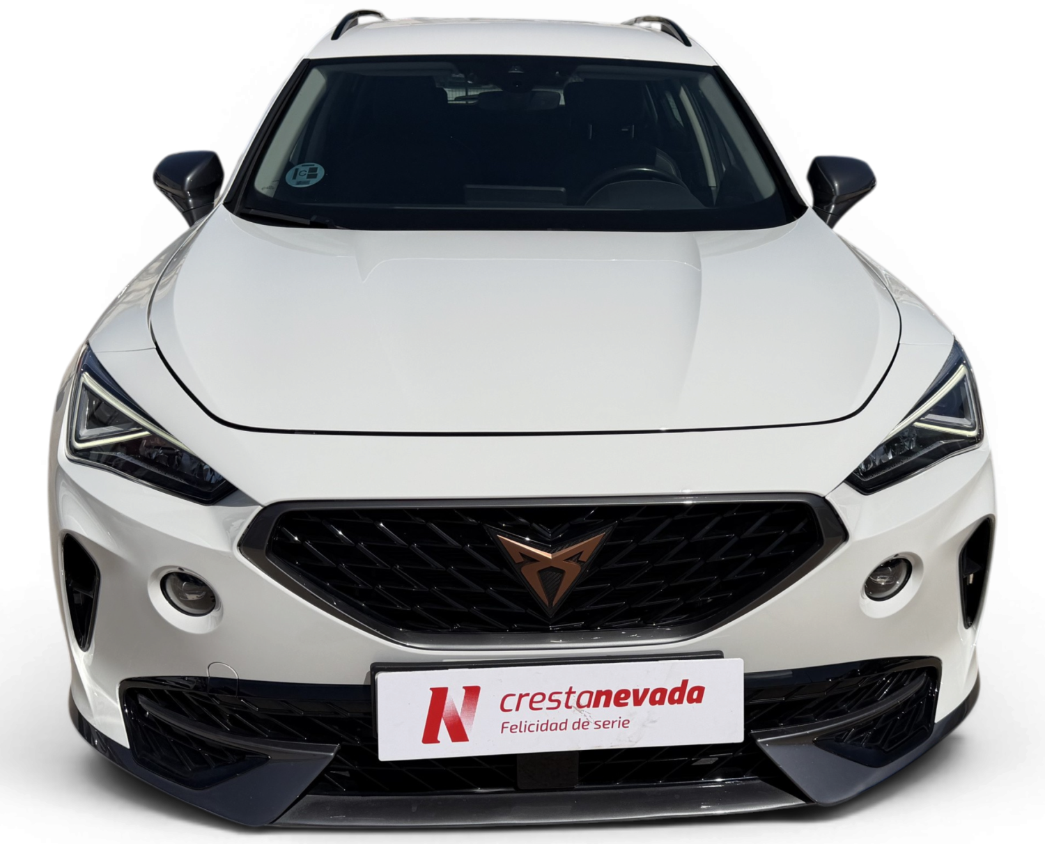 Imagen de cupra Formentor