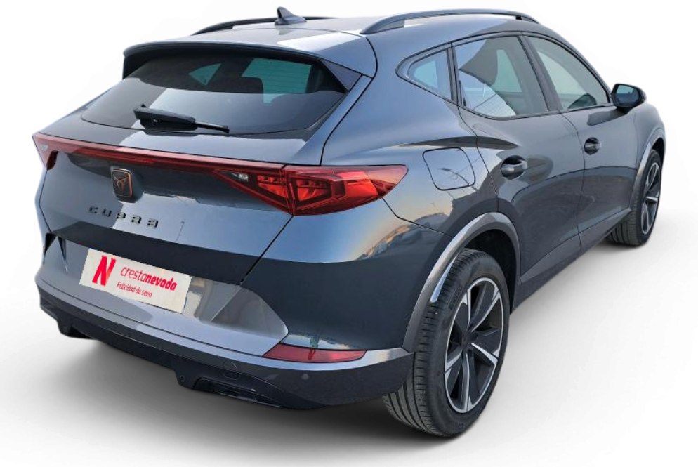 Imagen de cupra Formentor