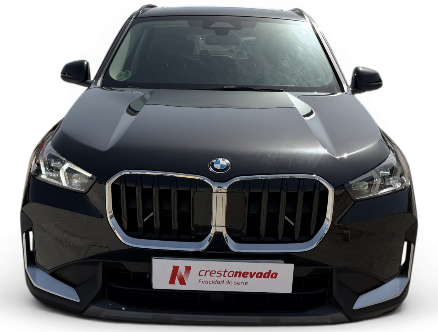 Imagen de BMW X1