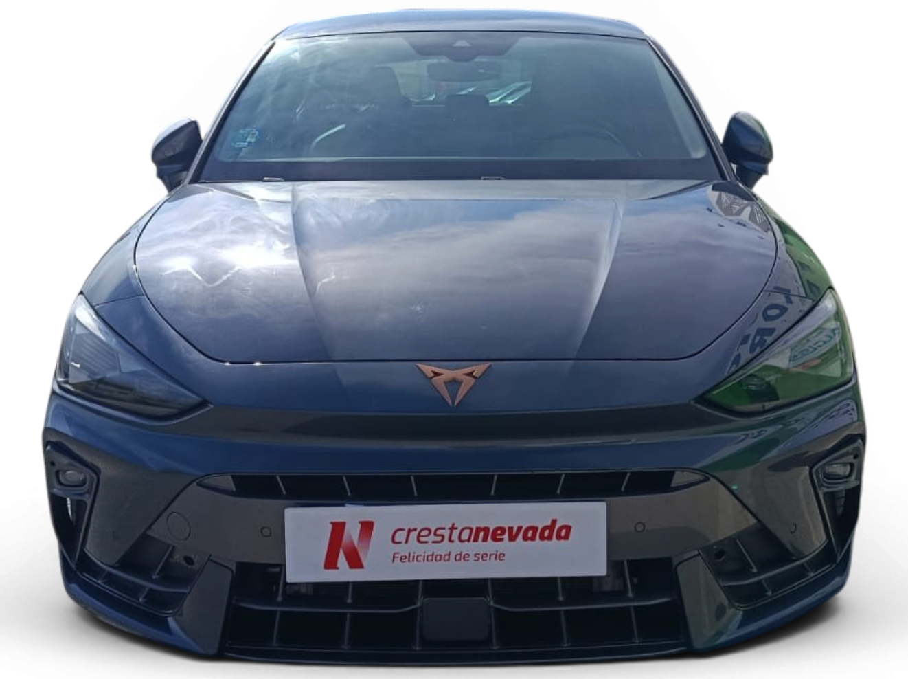 Imagen de cupra León