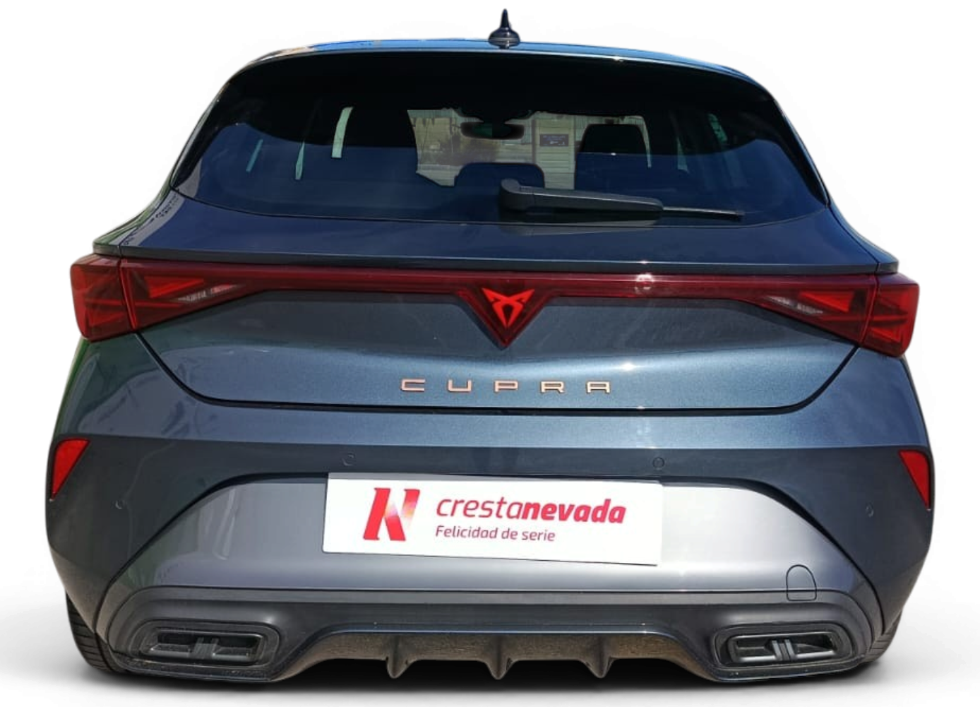 Imagen de cupra León