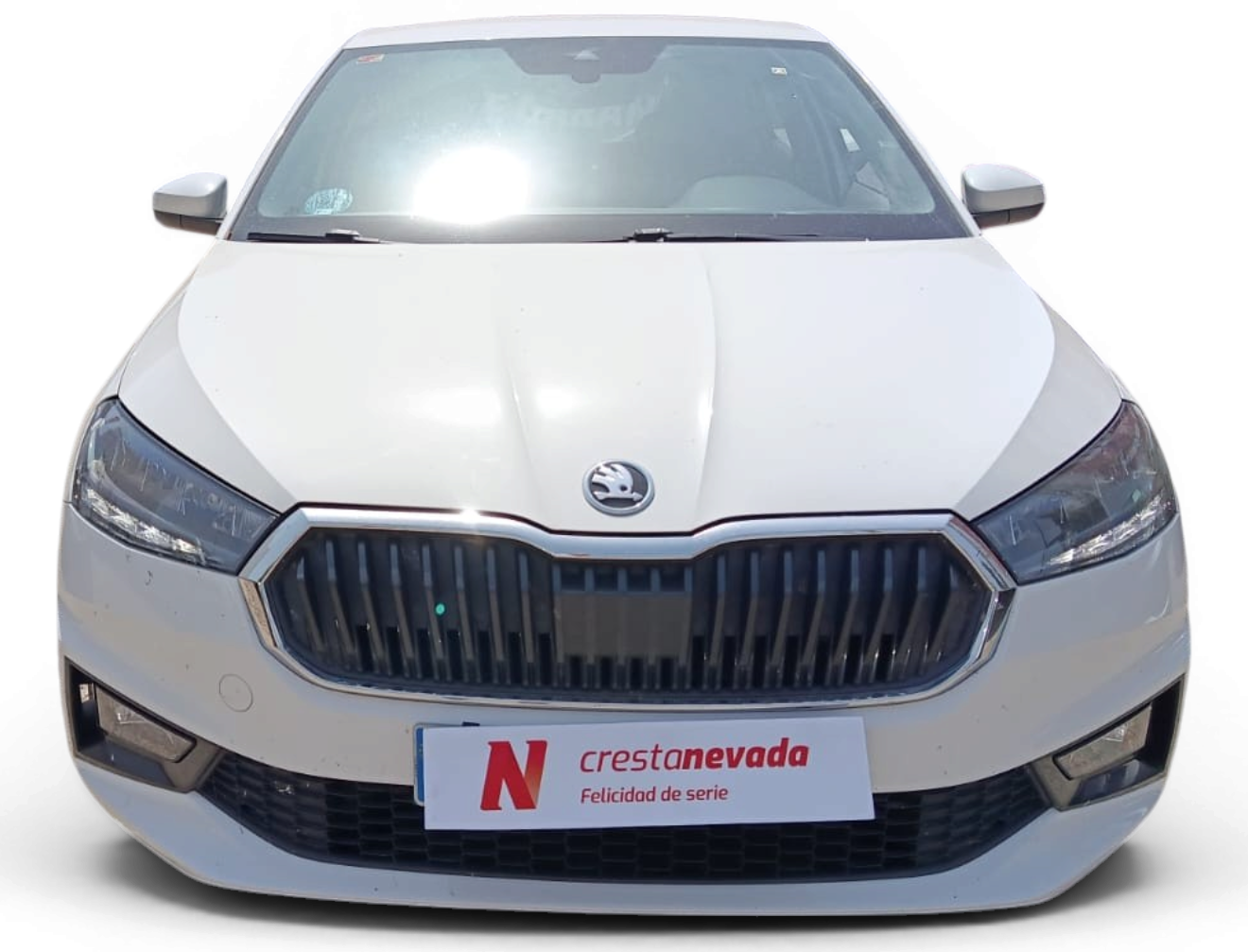 Imagen de Skoda Fabia