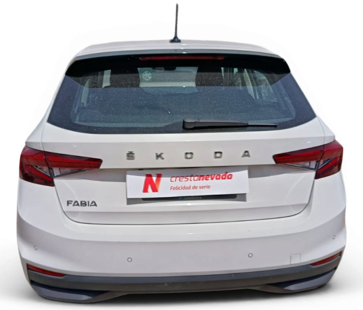 Imagen de Skoda Fabia