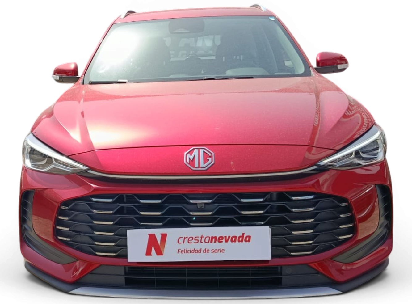 Imagen de Mg ZS