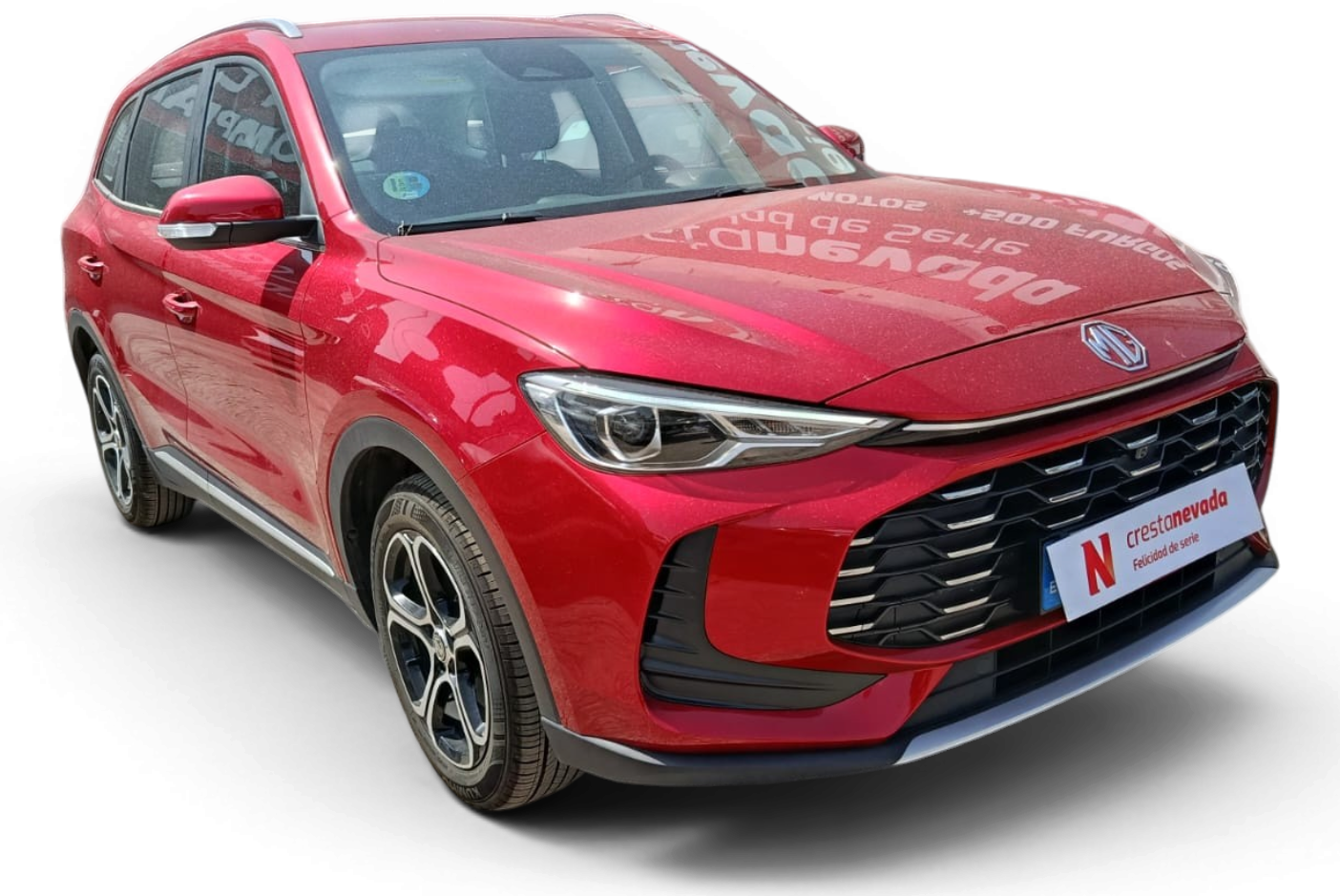 Imagen de Mg ZS