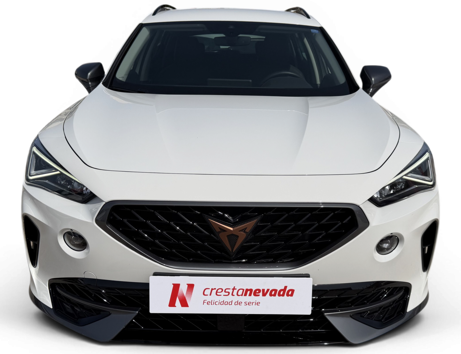 Imagen de cupra Formentor
