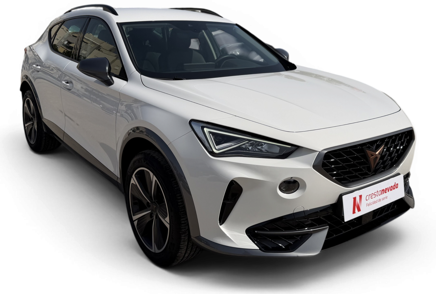 Imagen de cupra Formentor