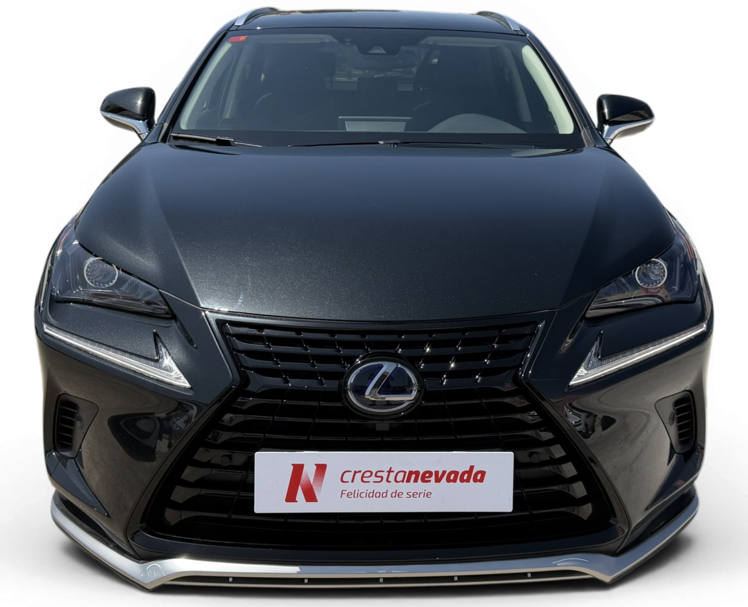 Imagen de Lexus NX