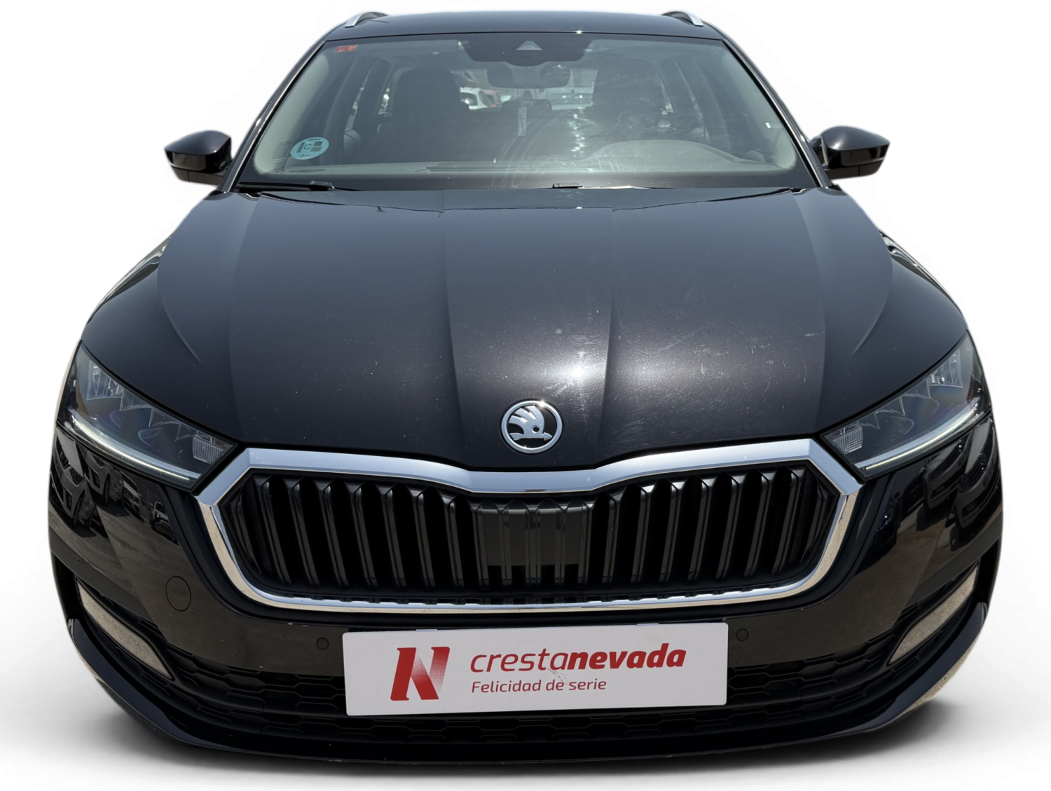 Imagen de Skoda Octavia