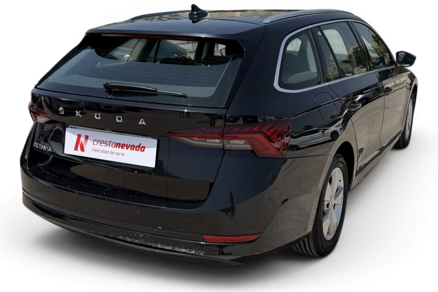 Imagen de Skoda Octavia