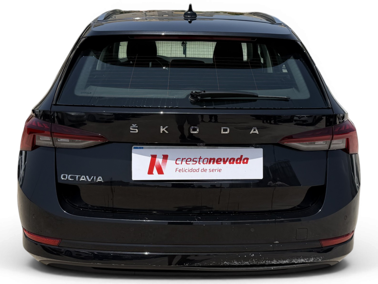 Imagen de Skoda Octavia