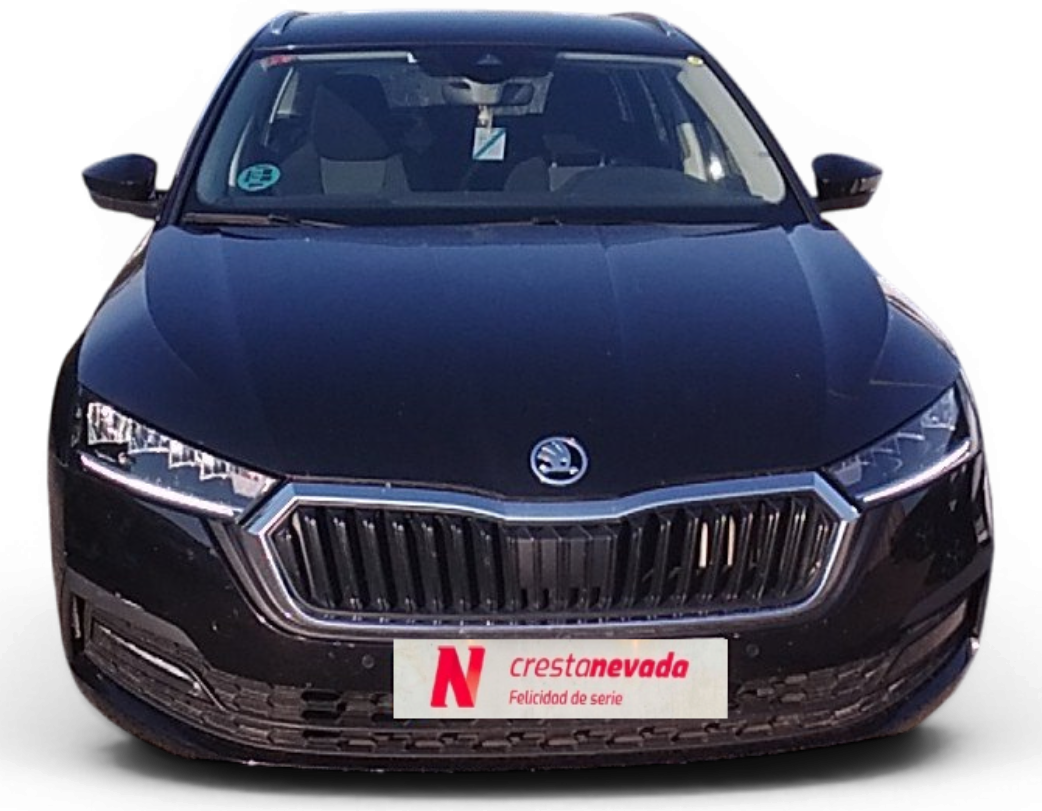Imagen de Skoda Octavia