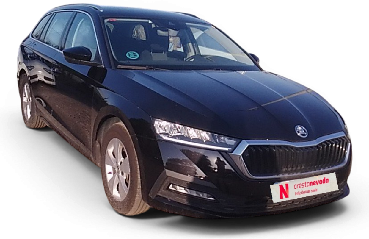 Imagen de Skoda Octavia