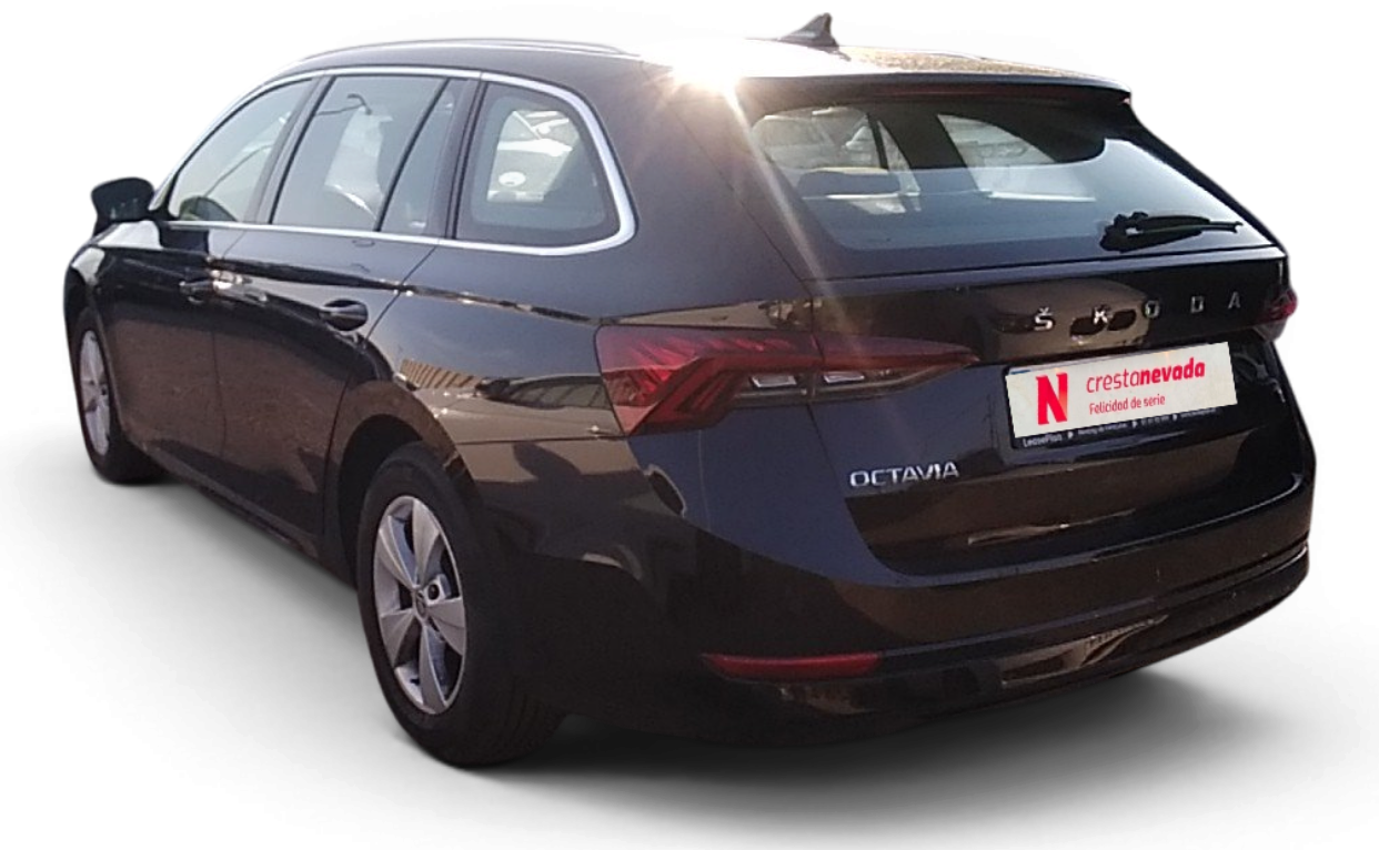 Imagen de Skoda Octavia