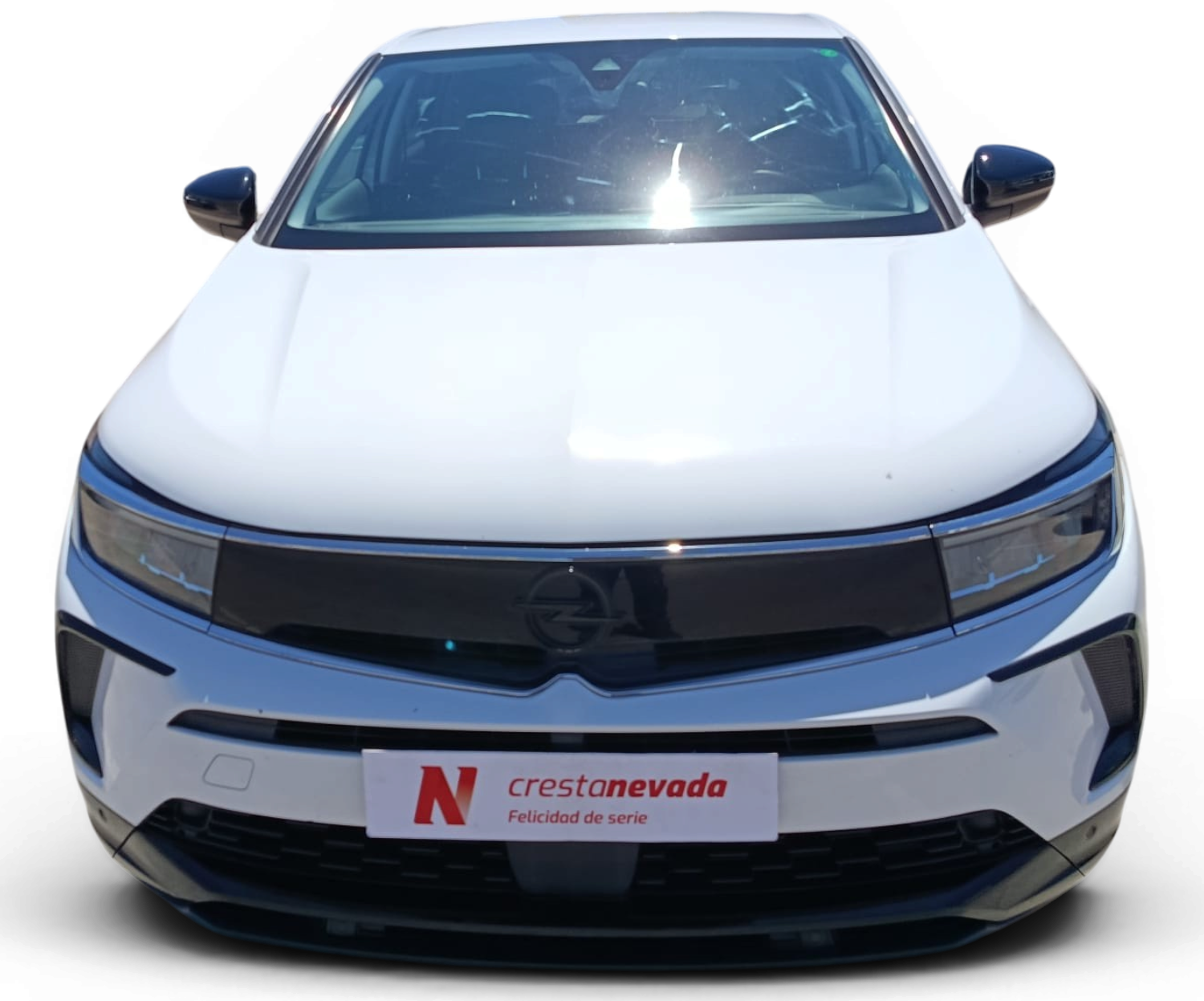 Imagen de Opel Grandland