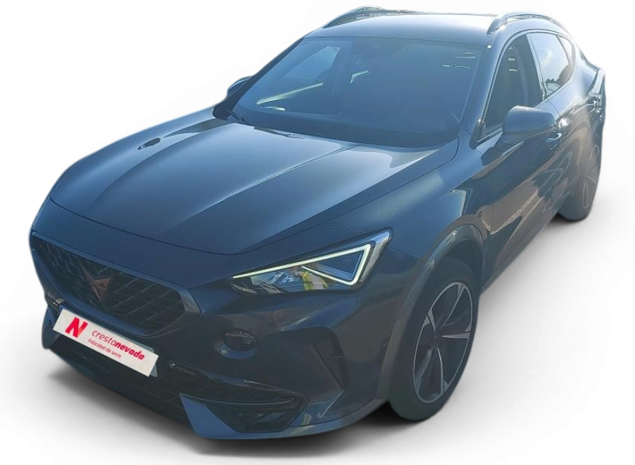 Imagen de cupra Formentor