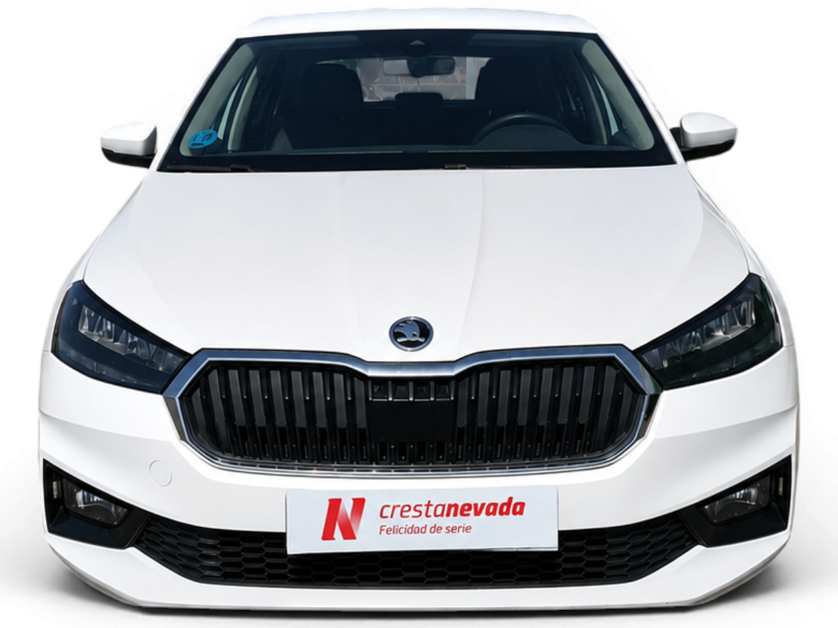 Imagen de Skoda Fabia