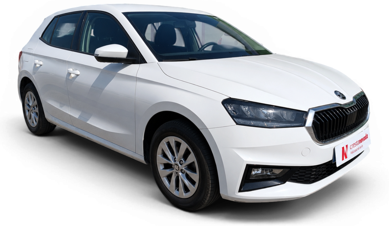 Imagen de Skoda Fabia