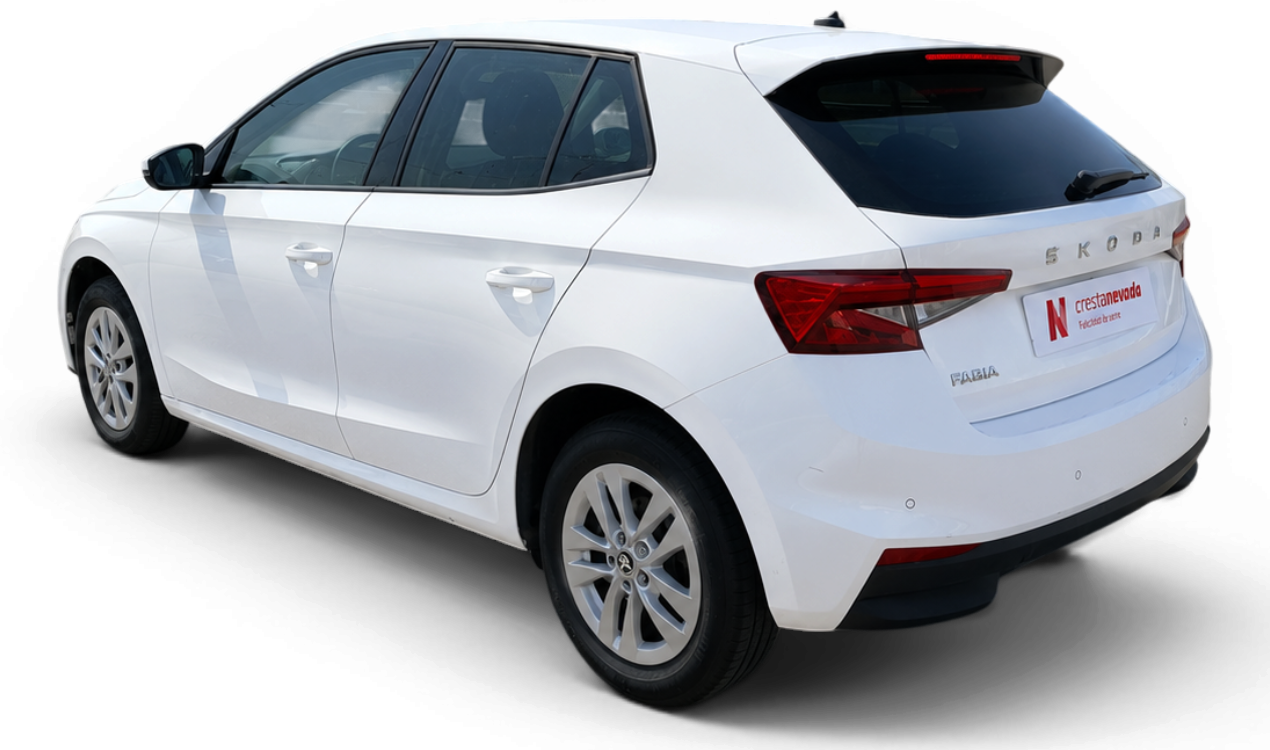 Imagen de Skoda Fabia