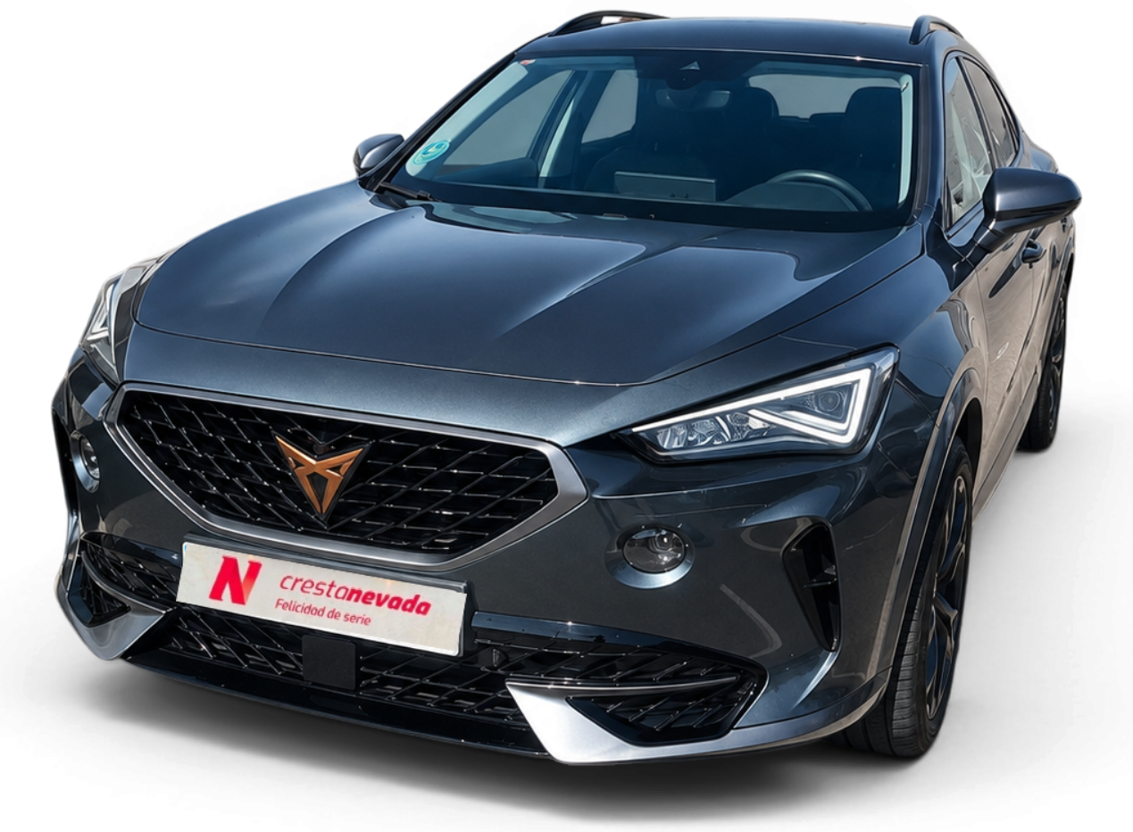 Imagen de cupra Formentor