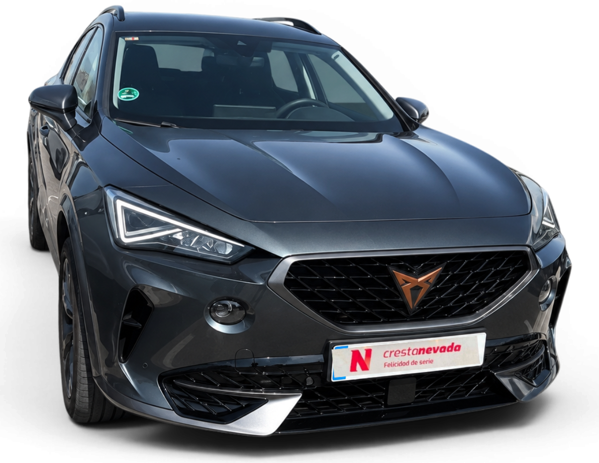 Imagen de cupra Formentor