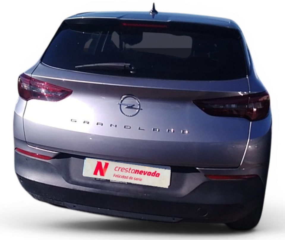 Imagen de Opel Grandland