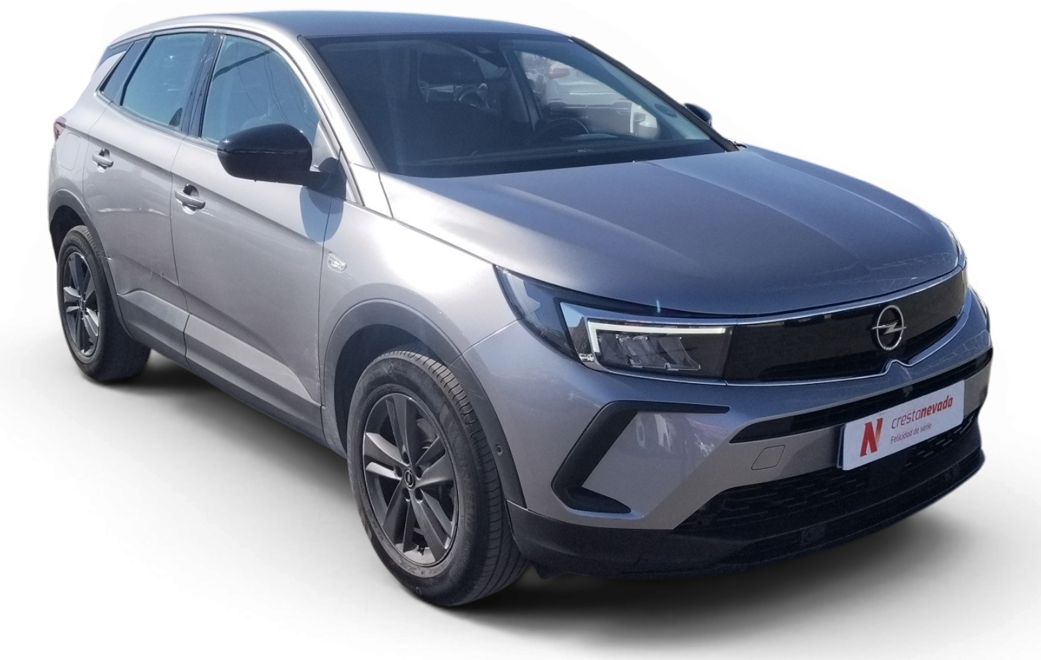 Imagen de Opel Grandland