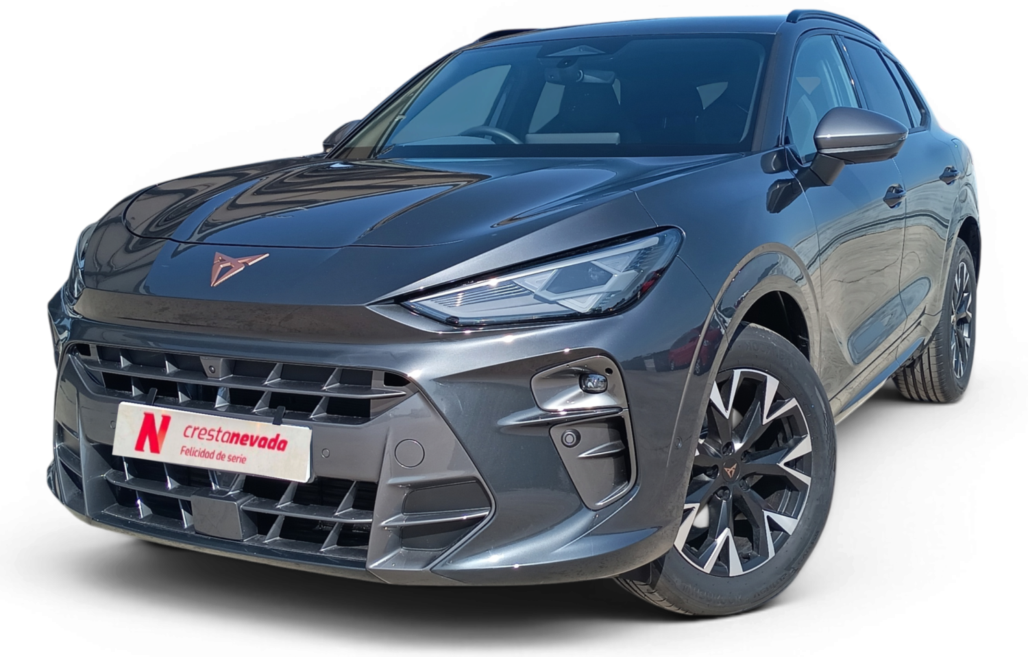 cupra Terramar