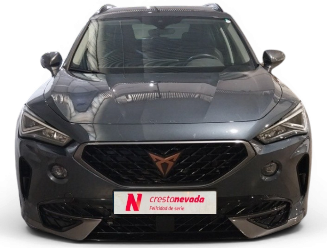 Imagen de cupra Formentor