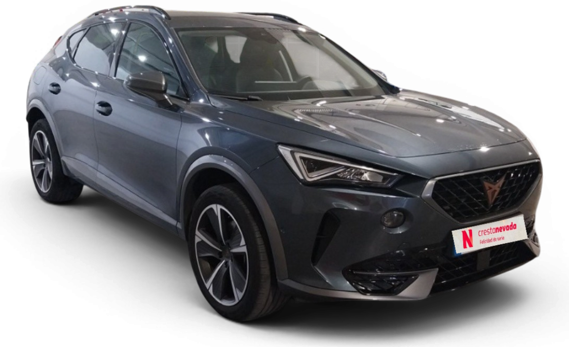 Imagen de cupra Formentor