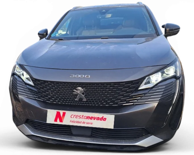 Imagen de Peugeot 3008