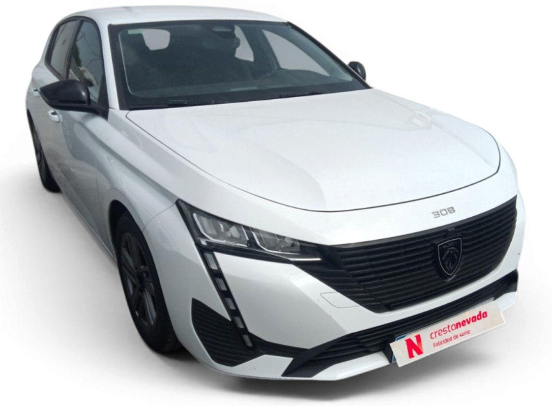 Imagen de Peugeot 308