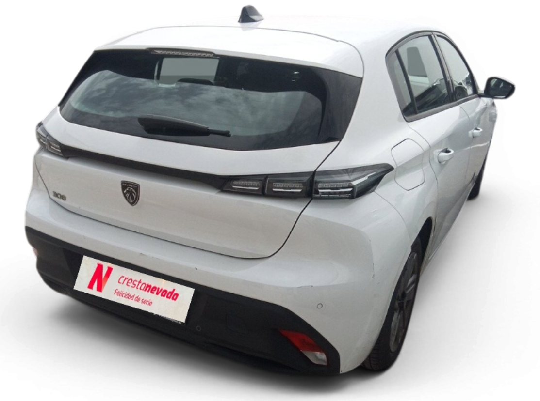 Imagen de Peugeot 308