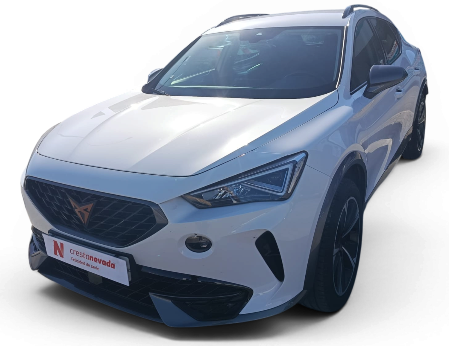 cupra Formentor Gasolina 150 CV por 24.490 €