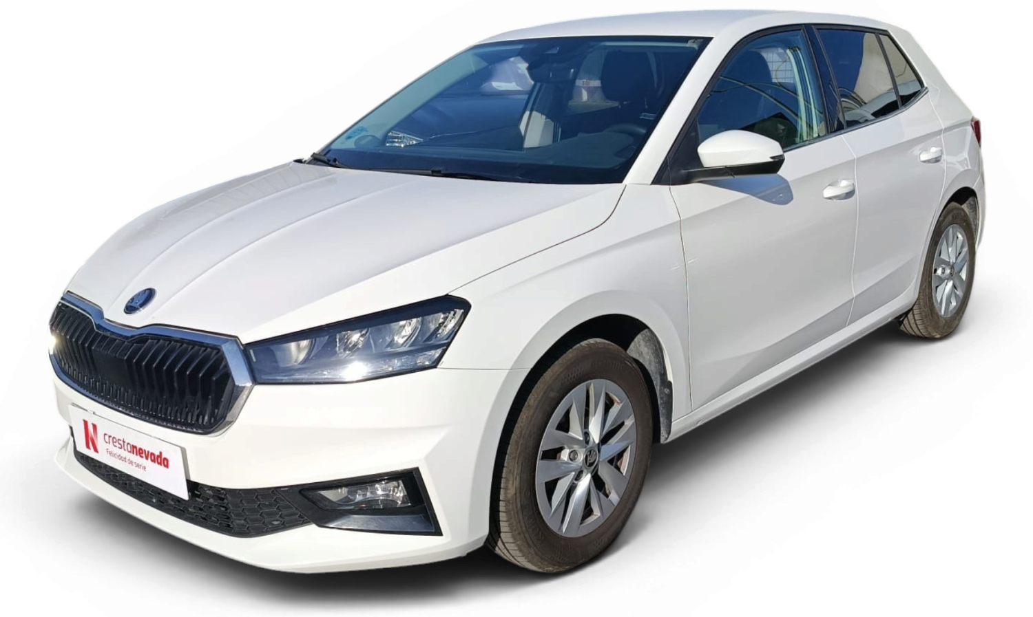 Skoda Fabia Gasolina 95 CV por 16.990 €