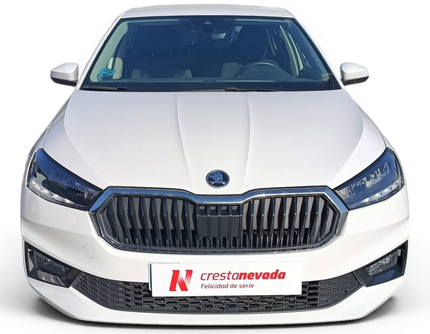 Imagen 2 de Skoda Fabia Gasolina 95 CV por 16.990 €