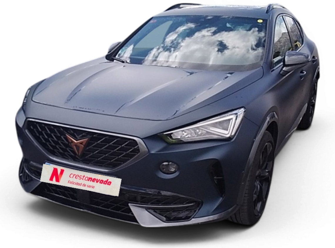 Imagen de cupra Formentor