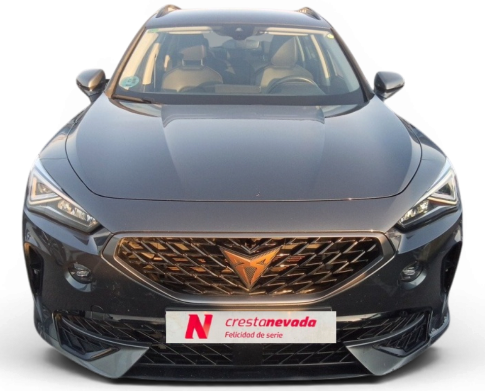 Imagen de cupra Formentor